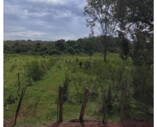 Foto de Lote 29 - Brasília - DF -  zona rural - Área de Terras