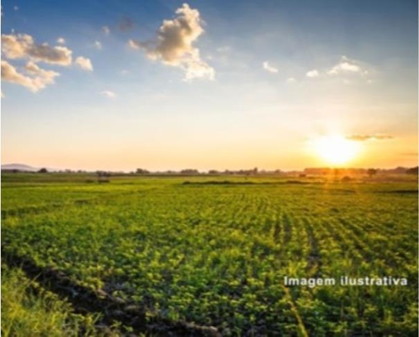 Foto de Área de terras com 1.452 ha - J055 - São Félix do Xingu - PA