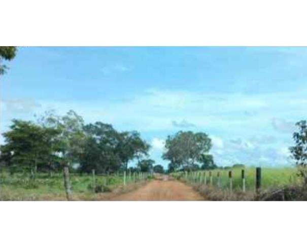 Foto de Lote 21 - Araguaçu - TO - zona rural - Fazenda