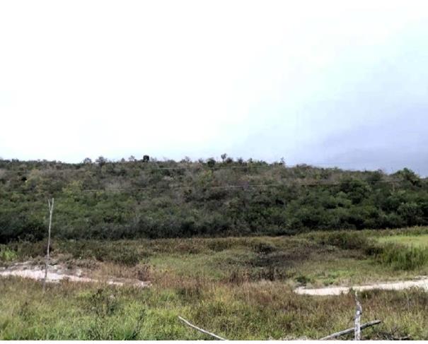 Foto de Área de terras com 281 ha - Araçuaí - MG