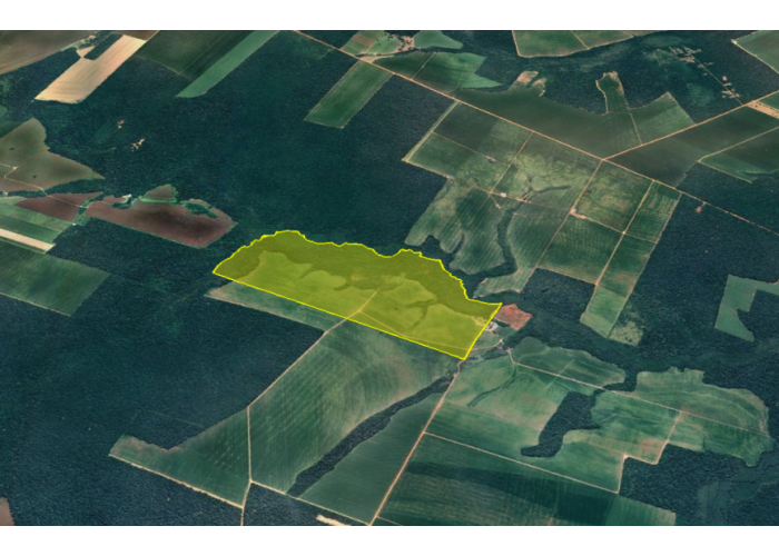 Imagem do imóvel Sinop - MT - Gleba com 331,54 ha Glebas de terras - J020(2)