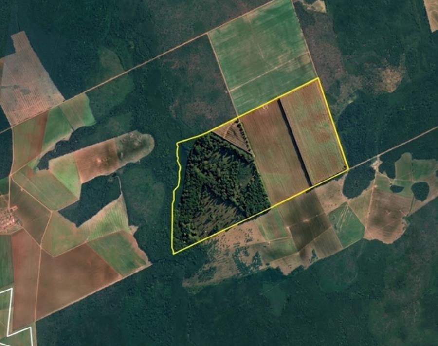 Fazenda Esmeralda com 1.020 HA