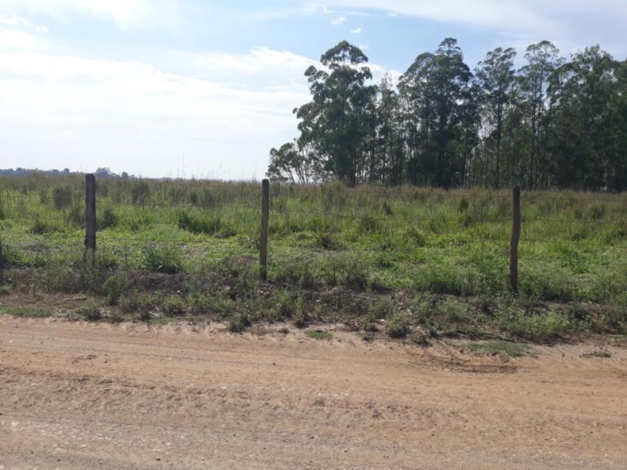 Sítio Lageado IV - Piracicaba - SP Área de Terras com 20.046 m² - E195, localizado em Piracicaba - SP