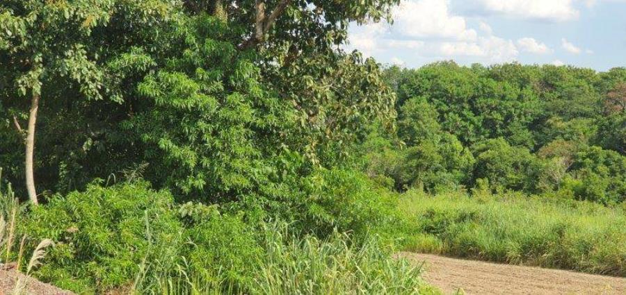 Lote 13 - Maringá - PR - Rural - Área de Terras ENVIE SUA PROPOSTA - E196, localizado em Maringá - PR