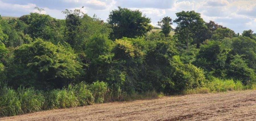 Lote 13 - Maringá - PR - Rural - Área de Terras ENVIE SUA PROPOSTA - E196, localizado em Maringá - PR