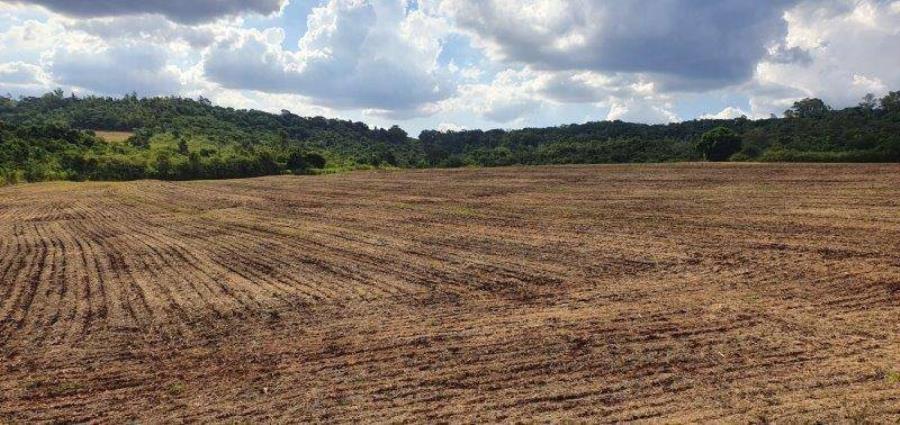 Lote 13 - Maringá - PR - Rural - Área de Terras ENVIE SUA PROPOSTA - E196, localizado em Maringá - PR