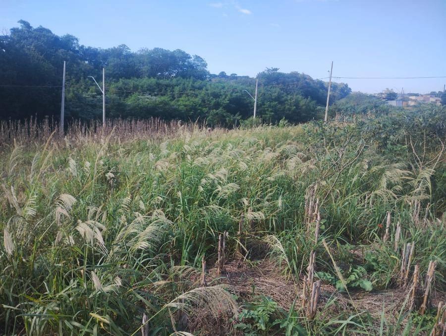Lote 3 - LOTE URBANO em Cafelândia/PR Imóveis Residenciais - Banco Santander - E187, localizado em Cafelândia - PR