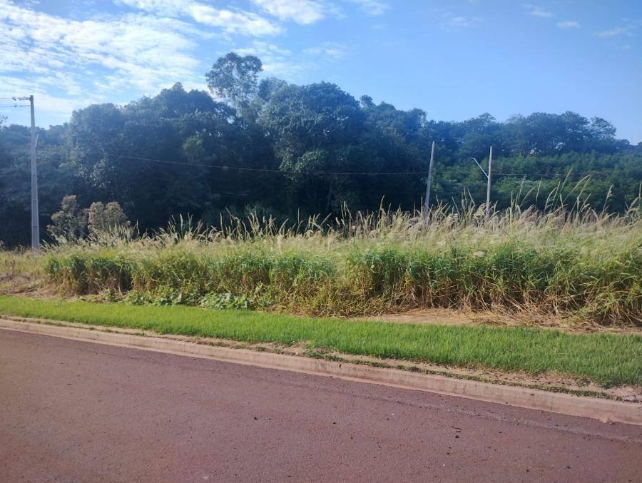 Lote 3 - LOTE URBANO em Cafelândia/PR Imóveis Residenciais - Banco Santander - E187, localizado em Cafelândia - PR