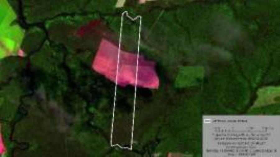 Lote 9 - Nova Maringá - MT - Faz. Primavera V - Área Rural Imóveis Comerciais - Santander - E249, localizado em Nova Maringá - MT