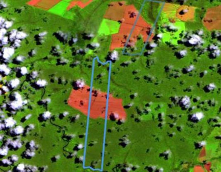 Lote 9 - Nova Maringá - MT - Faz. Primavera V - Área Rural Imóveis Comerciais - Santander - E249, localizado em Nova Maringá - MT