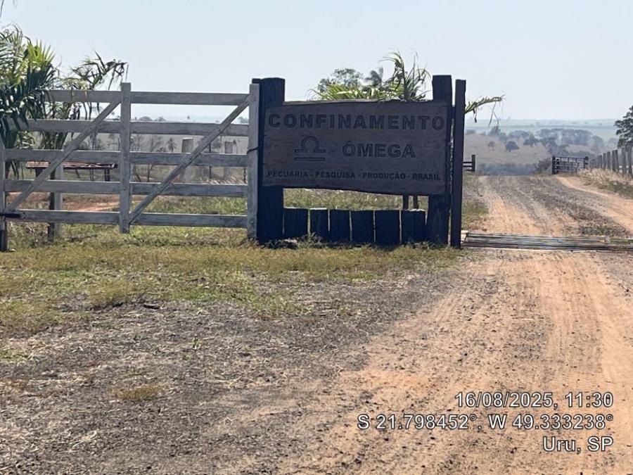Lote 6 - Pongaí - SP - Lote Rural com 62,4481 ha Imóveis Comerciais - Santander - E266, localizado em Pongaí - SP