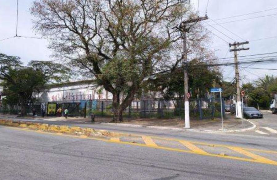 Imagem do imóvel Lote 2 - São Paulo - SP - Alto de Pinheiros - Prédio Comercial Imóveis Comerciais - Banco ITAÚ - E484/C