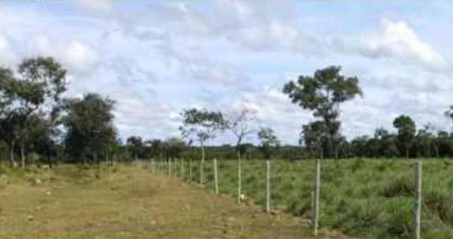 Lote 21 - Araguaçu - TO - zona rural - Fazenda Imóveis Rurais e Comerciais - SICOOB UniCentro Br - E458, localizado em Araguaçu - TO