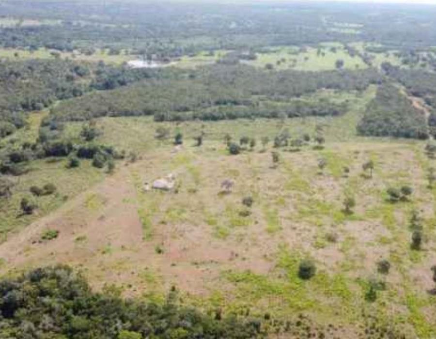 Imagem do imóvel Lote 21 - Araguaçu - TO - zona rural - Fazenda Imóveis Rurais e Comerciais - SICOOB UniCentro Br - E458