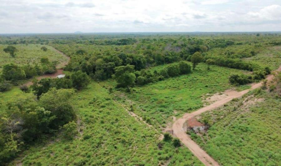 Imagem do imóvel Lote 11 - Araguaçu - TO - zona rural - Fazenda Imóveis Rurais e Comerciais - SICOOB UNICENTRO BR - E458