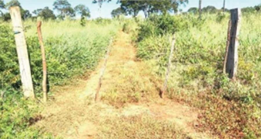 Imagem do imóvel Lote 23 - Estreito - MA - zona rural - Fazenda Imóveis Rurais e Comerciais - SICOOB UniCentro Br - E458