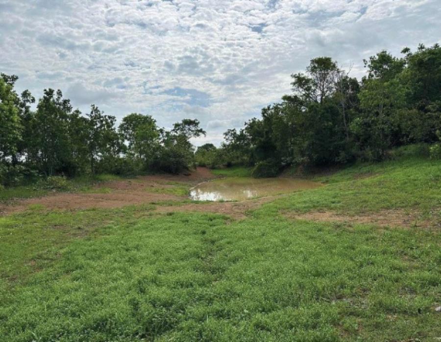 Lote 11 - Araguaçu - TO - zona rural - Fazenda Imóveis Rurais e Comerciais - SICOOB UNICENTRO BR - E458, localizado em Araguaçu - TO