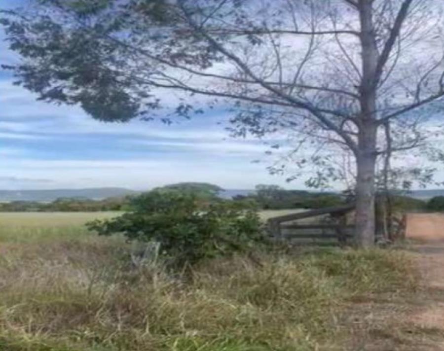 Imagem do imóvel Lote 25 - Caldas Novas - GO - zona rural - Gleba de Terras Imóveis Rurais e Comerciais - SICOOB UniCentro Br - E458