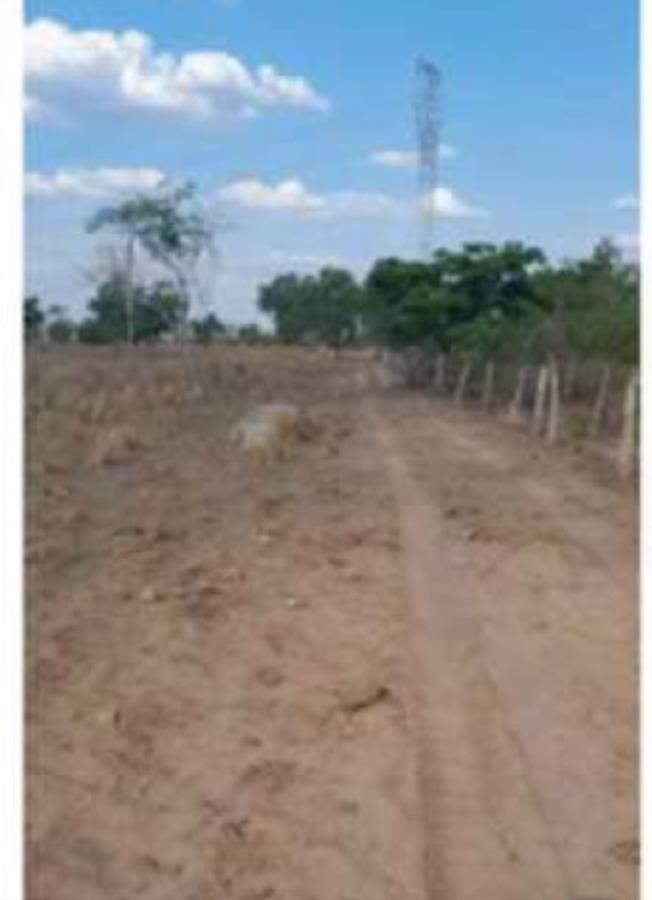 Imagem do imóvel Lote 31 - Presidente Kennedy - TO - zona rural - Fazenda Imóveis Rurais e Comerciais - SICOOB UniCentro Br - E458