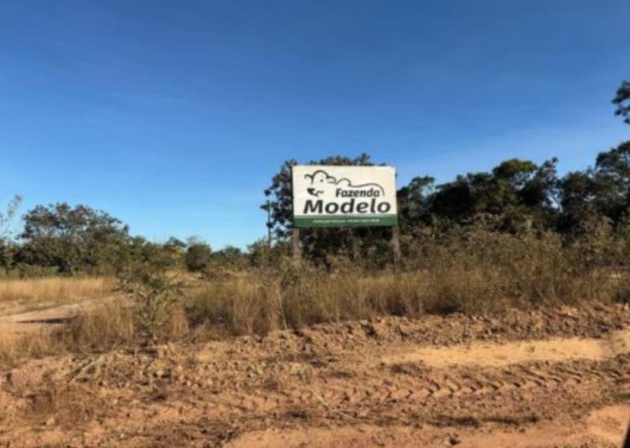 Imagem do imóvel Lote 20 - Colméia - TO -  zona rural - Fazenda Imóveis Rurais e Comerciais - SICOOB UNICENTRO BR - E458