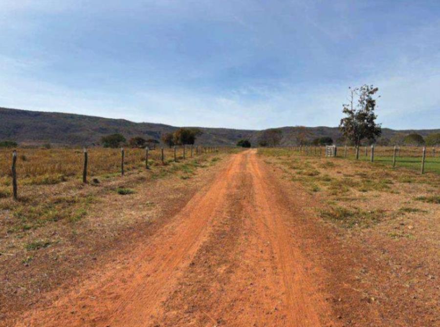 Lote 3 - Buritis - MG - zona rural - Fazenda Imóveis Rurais e Comerciais - SICOOB UniCentro Br - E458, localizado em Buritis - MG