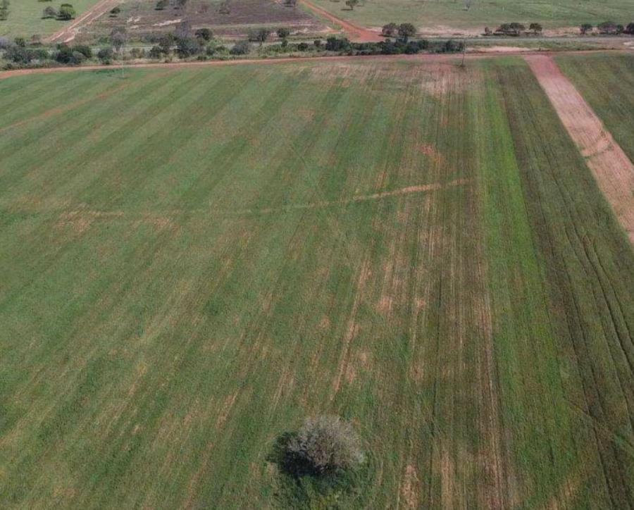 Lote 4 - Rio dos Bois - TO - zona rural - Fazenda Imóveis Rurais e Comerciais - SICOOB UniCentro Br - E458, localizado em Rio Dos Bois - TO