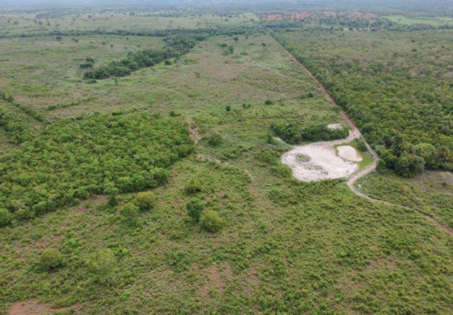 Lote 11 - Araguaçu - TO - zona rural - Fazenda Imóveis Rurais e Comerciais - SICOOB UNICENTRO BR - E458, localizado em Araguaçu - TO