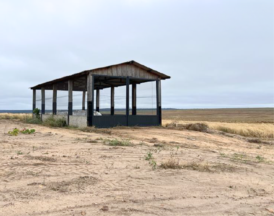 Lote 4 - Novo São Joaquim - MT - Fazenda com 3.627,6545 ha Imóveis Comerciais - Santander - E266, localizado em Novo São Joaquim - MT