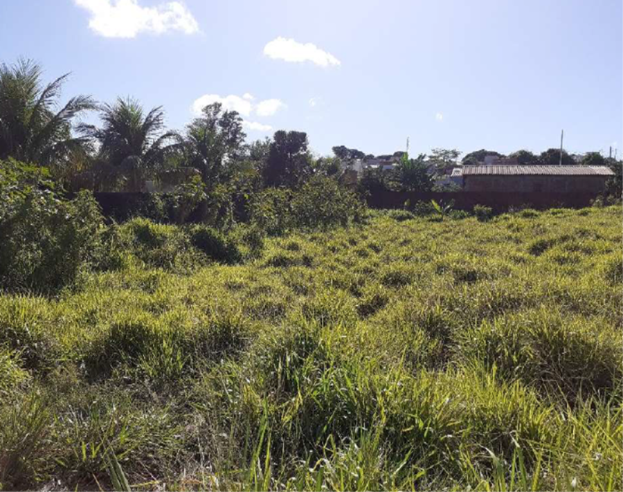 Terreno com 1.499 m² - Umuarama - PR Terreno com 1.499 m² - E227, localizado em Umuarama - PR