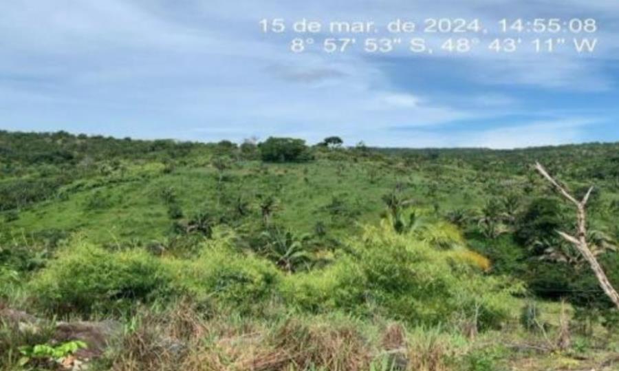 Imagem do imóvel Lote 27 - Colméia - TO - zona rural - Fazenda Imóveis Rurais e Comerciais - SICOOB UniCentro Br - E458