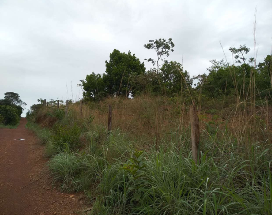 Lote 1 - Anápolis - GO - Distrito Agroindustrial - Terreno Imóveis Comerciais e Residenciais - Banco FIBRA - E265, localizado em Anápolis - GO