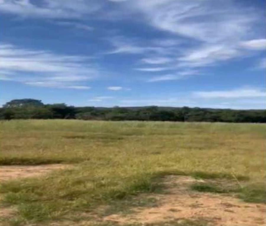 Lote 25 - Caldas Novas - GO - zona rural - Gleba de Terras Imóveis Rurais e Comerciais - SICOOB UniCentro Br - E458, localizado em Caldas Novas - GO
