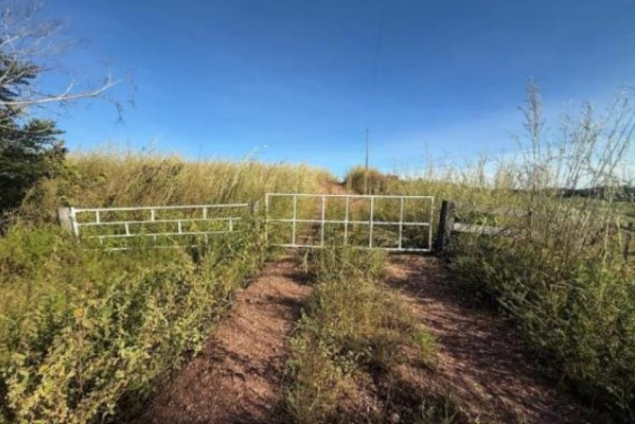 Lote 20 - Colméia - TO - zona rural - Fazenda Imóveis Rurais e Comerciais - SICOOB UNICENTRO BR - E458, localizado em Colméia - TO