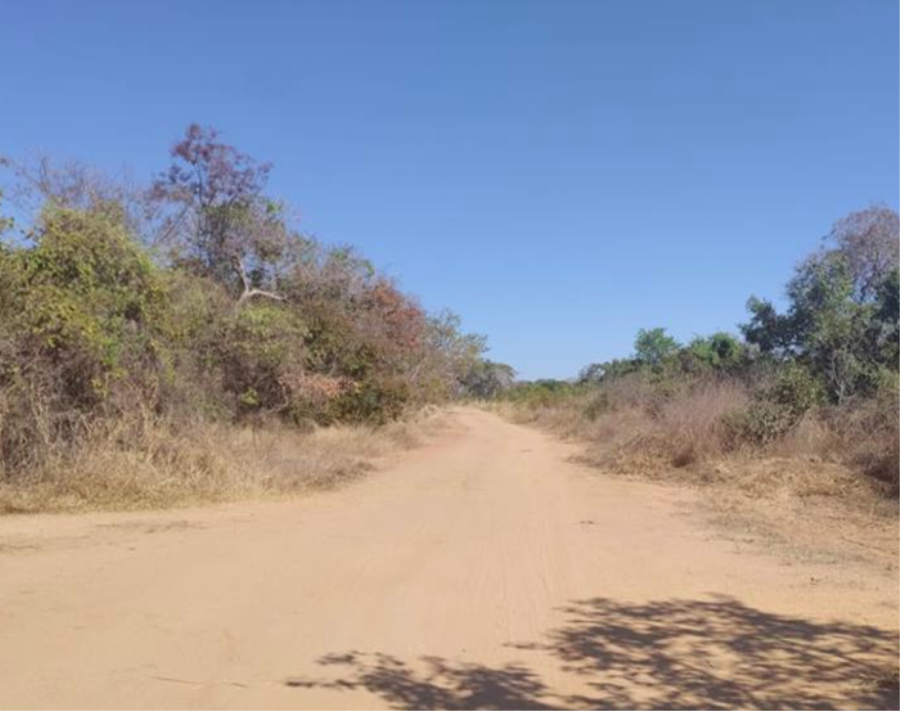 Lote 9 - Logoa Grande - MG - Fazenda Imóveis Comerciais - Santander - E319, localizado em Lagoa Grande - MG
