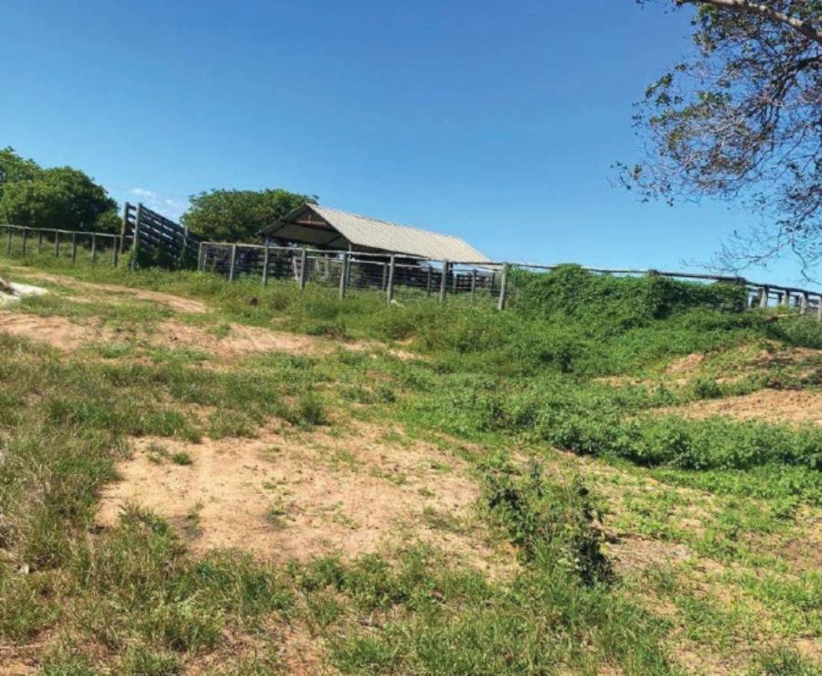 Lote 4 - Rio dos Bois - TO - zona rural - Fazenda Imóveis Rurais e Comerciais - SICOOB UniCentro Br - E458, localizado em Rio Dos Bois - TO