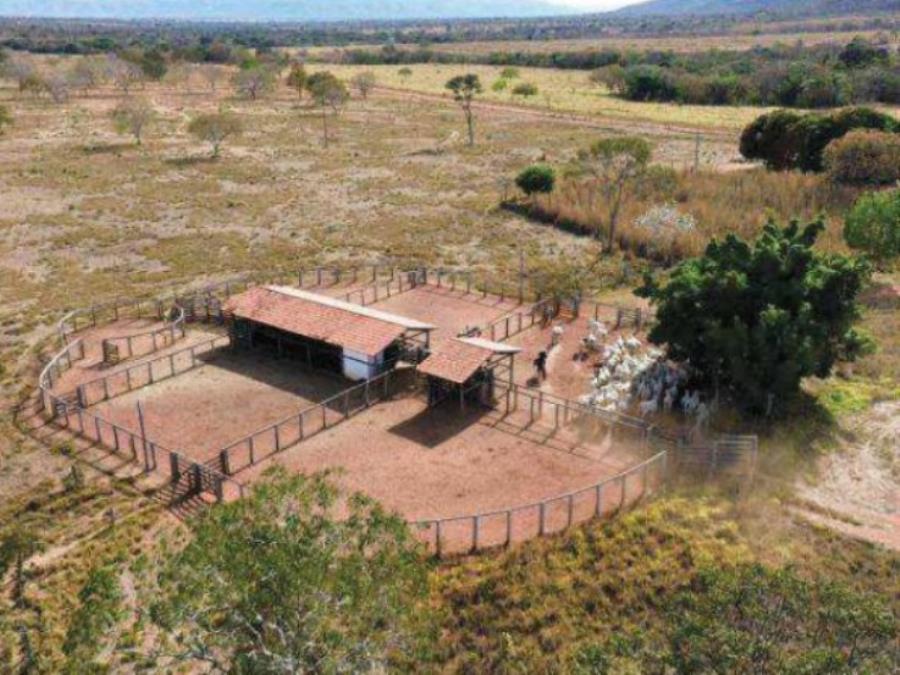 Lote 3 - Buritis - MG - zona rural - Fazenda Imóveis Rurais e Comerciais - SICOOB UniCentro Br - E458, localizado em Buritis - MG