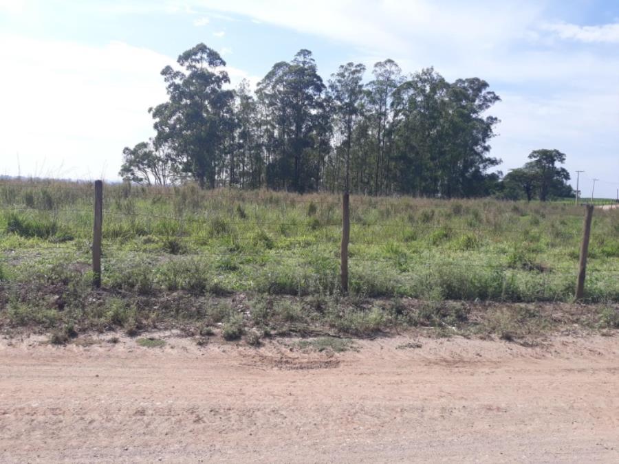 Sítio Lageado IV - Piracicaba - SP Área de Terras com 20.046 m² - E195, localizado em Piracicaba - SP