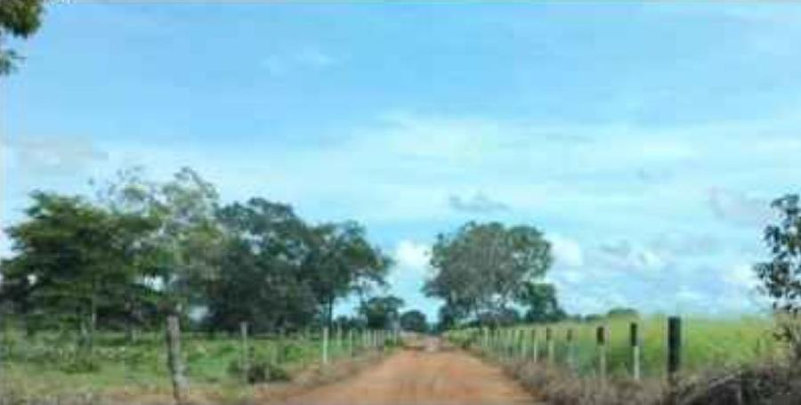 Lote 21 - Araguaçu - TO - zona rural - Fazenda Imóveis Rurais e Comerciais - SICOOB UniCentro Br - E458, localizado em Araguaçu - TO