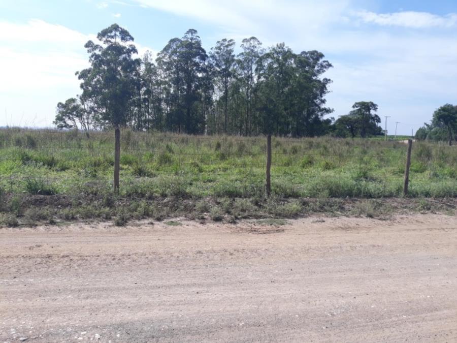 Sítio Lageado IV - Piracicaba - SP Área de Terras com 20.046 m² - E195, localizado em Piracicaba - SP